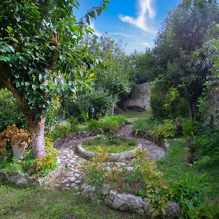 Holiday home In Near Center *